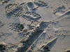 sand_prints1